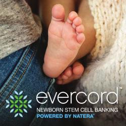 Evercord website banner