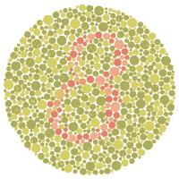 People with normal colour vision should see an 8 Red-green colour vision