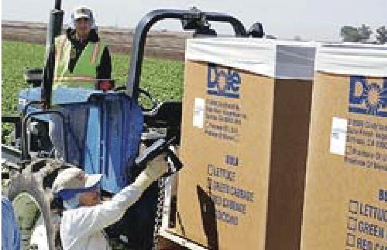 Scanning RFID Tags on Vegetable Boxes Electronic Health Records: Just Around the Corner? Or over the Cliff?