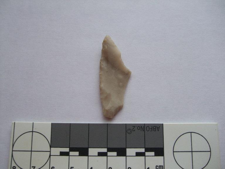 However, no evidence of Romano British activity was observed or collected during this field collection.
