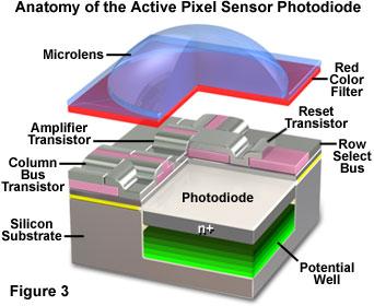 Anatomy of the Active Pixel Sensor Photodiode http://www.