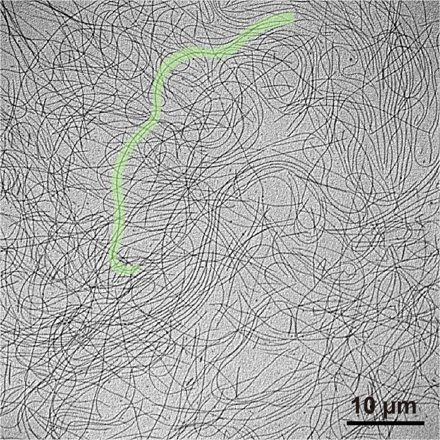 Figure S1. TEM image of 16 nm silver nanowires.
