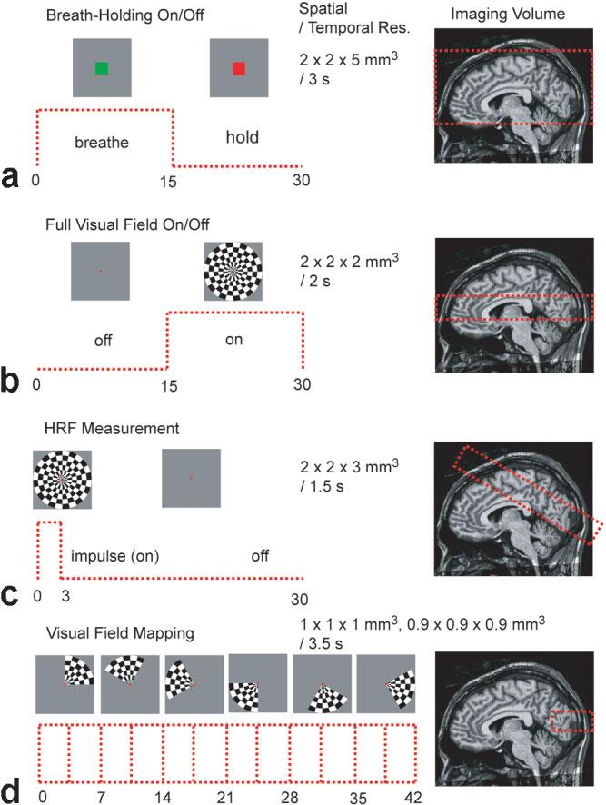 1104 Lee et al. The GRE-BOLD and passband b-ssfp fmri experiments were conducted with identical spatial and temporal resolution.