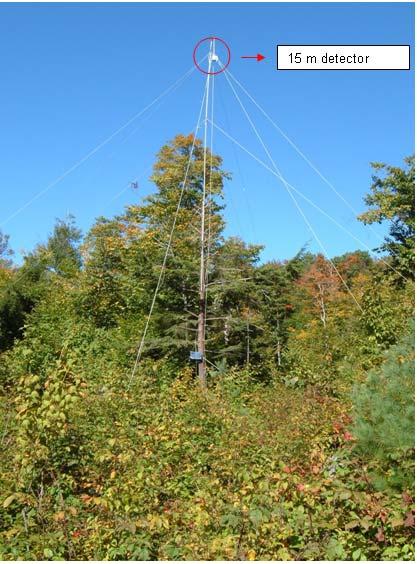 Photo 1: Fletcher Mountain North Portable Tower Detector The Fletcher Mountain north detector was located within a disturbed deciduous forest stand