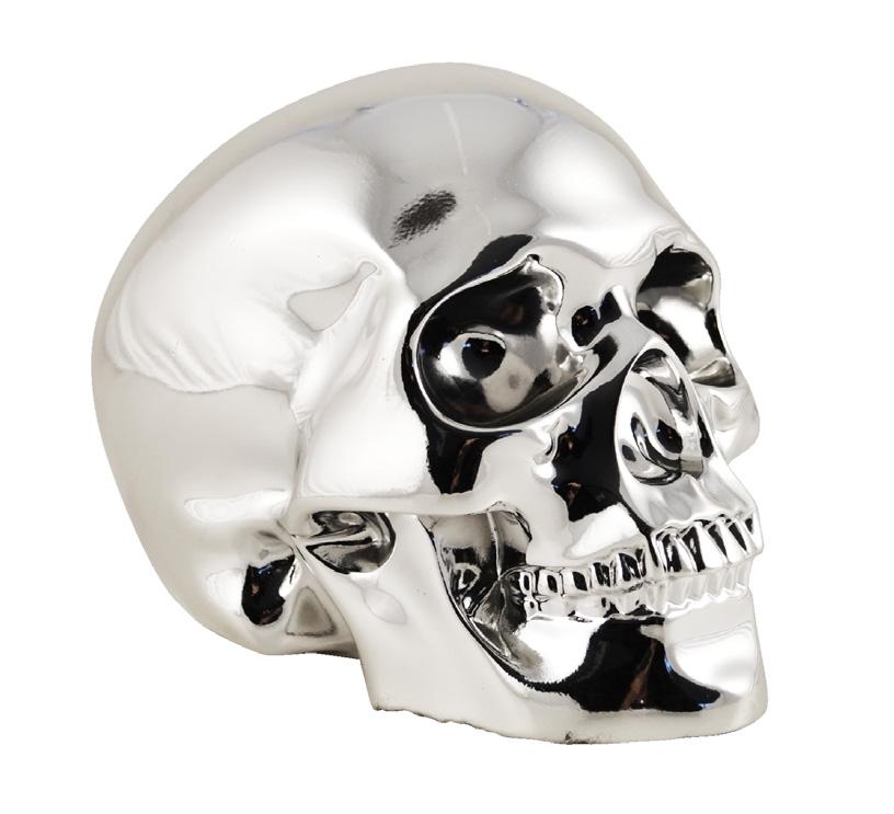 27 cm - 300 pieces Paco Rabanne Skull