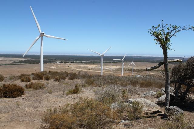 The Wind Farm Industry in South Africa New programme in South Africa Only 8 wind turbines currently in South Africa The South African Government indicated that it is committed to clean energy The