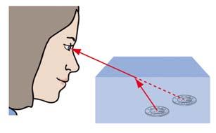 Connect Your Understanding 50. When you look at a coin under water, a light ray comes from the coin, refracts at the water surface, and goes into your eye.