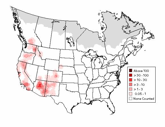 patchy distribution pattern of ponderosa and other yellow pines used by pygmy nuthatches.