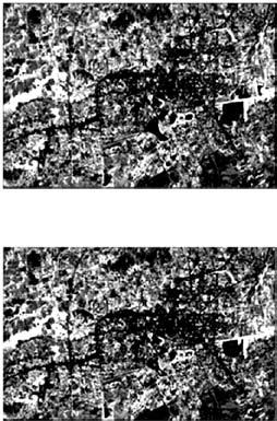 406 Comparison on Urban Classifications Using Landsat-TM and LSMA Images certain endmember.