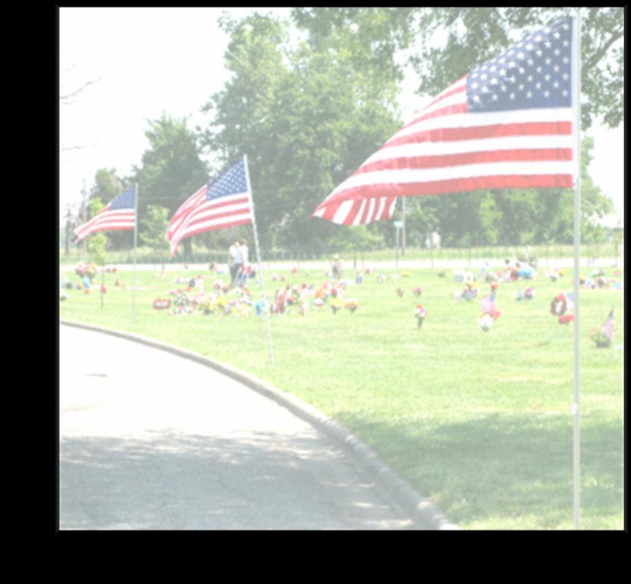 P a g e 8 Adopt~A~Flag Purchase an American flag for $50.00 that will be displayed proudly at G.A.R. Cemetery on Memorial Day, 4 th of July, and Veterans Day.