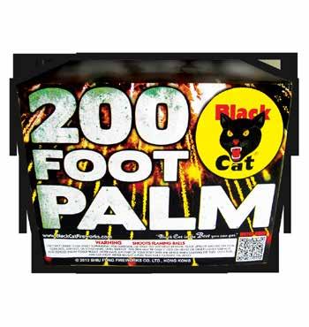 500 GRAMS OF AWESOME 200 FOOT PALM FIRING TIME: 24