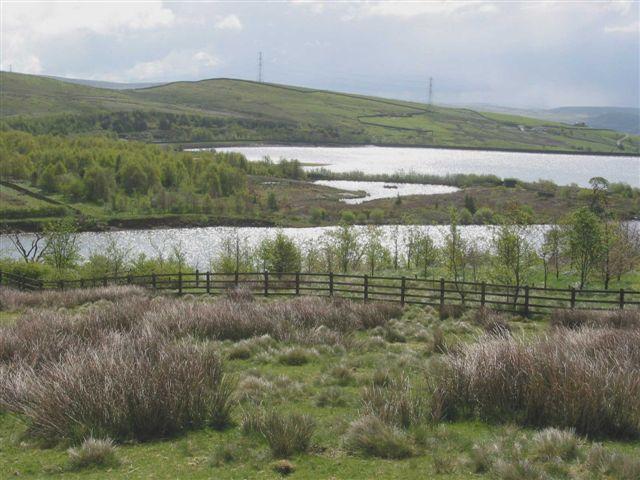 WATERGROVE RESERVOIR AND VALLEY A Site Guide and History 1993 to 2006 by Steve Atkins Watergrove Reservoir is a grade A Site of Biological Importance (SBI) and came into prominence on 21 st May 2005