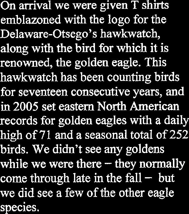 the other eagle species.