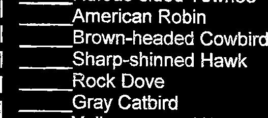 Woodpecker Common Flicker I- Rufous-sided Towhee 1 - American Robin I= Brown-headed Cowbird 1 - Sharp-shinned Hawk 1 - Rock Dove I- Gray Catbird