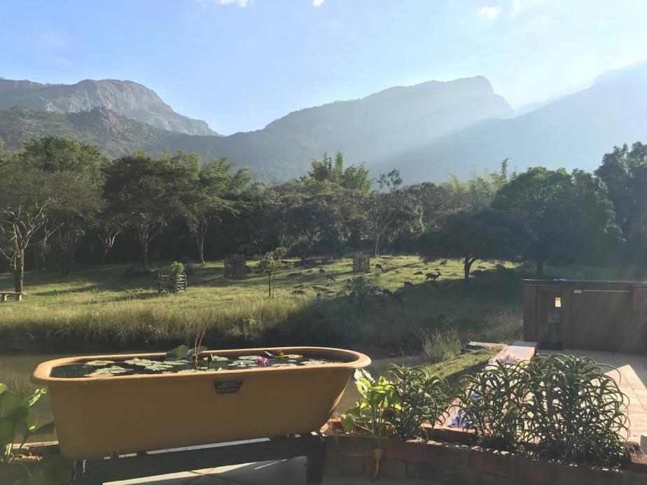 Bandipur Safari Lodge: Government-run lodge. At 18000 INR for a package including meals and two jeep safaris, this is one of the cheaper options to do the tiger reserve.