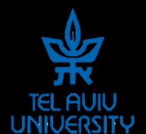 Technion and Tel Aviv University joint work with Itamar Pipman Adi Shamir Tel Aviv