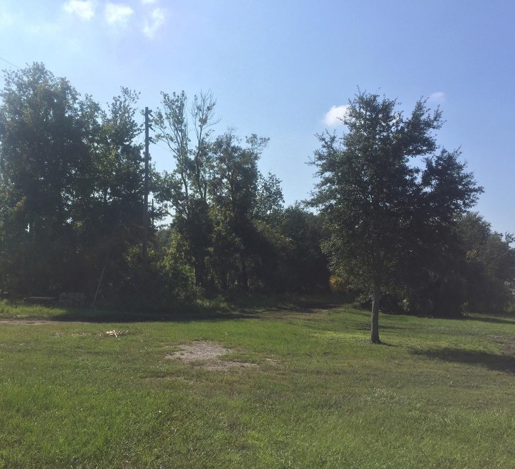3.62 ACRES VACANT LAND EXCLUSIVE LISTING 101-111 WHITAER ROAD LUTZ, FLORIDA 33549 OPPORTUNITY Approximately 3.62 acres of vacant land located south of 101-111 Whitaker Road, Lutz, FL.