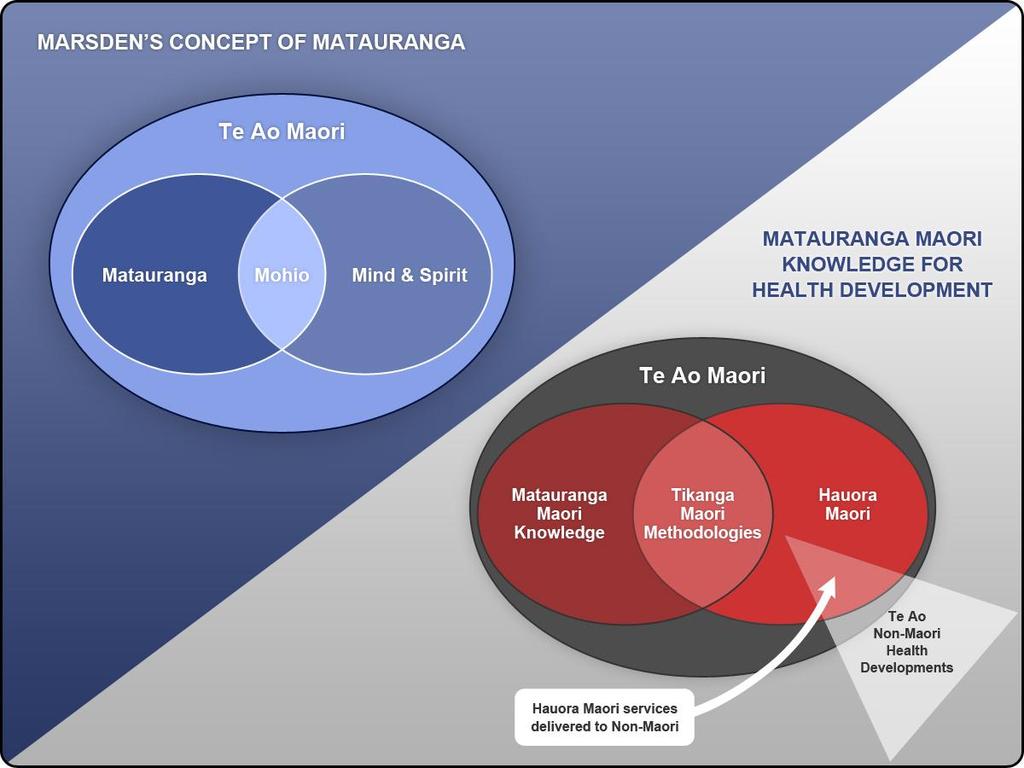 Source: Lisa Chant, Hauora Kotahitanga: Maori indigenous knowledge-based Maori health (hauora) models as conceptual models for co-operative co-existence (kotahitanga) between indigenous and