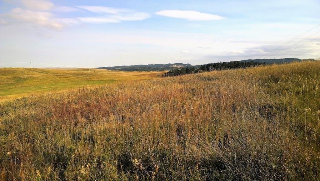 Location: Convenient access to the property is available from Avalanche Rd., a county maintained gravel road that leads directly into Sturgis, SD, about five miles to the south.