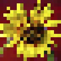 You may be able to recognize the sunflower in the design, but it will probably take some imagination. Now imagine creating the entire mosaic using 1" tiles and then 1/2" tiles.