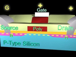 N-channel Metal-Oxide-Semiconductor Gate poly