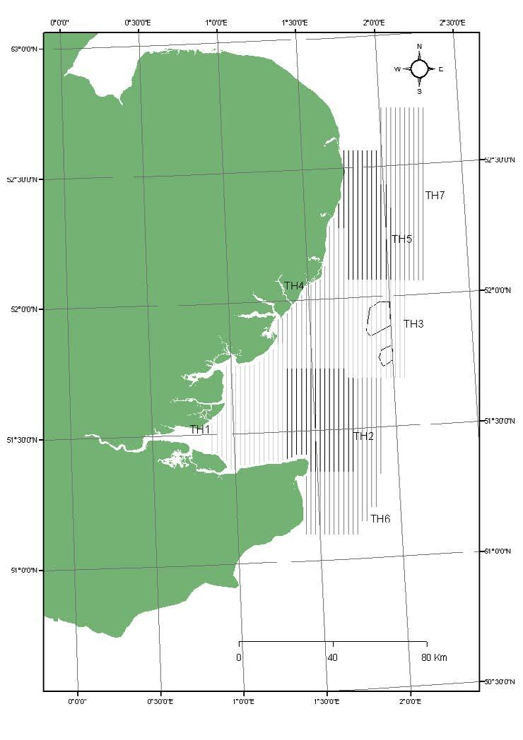 Figure 1.2-3 Transects of Thames Estuary aerial survey areas, DTI 2004-2006.