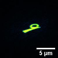 Diffraction pattern Reconstructed object First call for