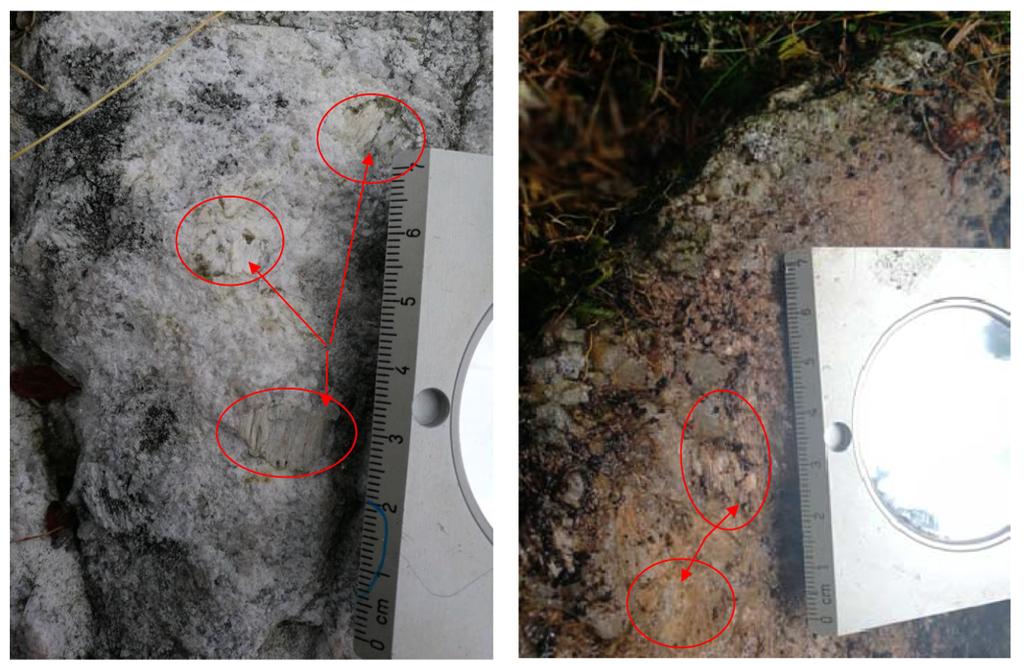 Initial mapping and rock sampling The Company initiated the technical due diligence program by mapping the area immediately adjacent (to the East) of the Wolfsberg deposit, with the objective of