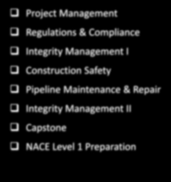 ENERGY TECHNOLOGIES-PIT OSUIT s Pipeline Integrity Technology Program Y E A R O N E Introduction to Pipeline and Facilities Pipeline Materials & Components Intro to Electrical/Electronics Processing