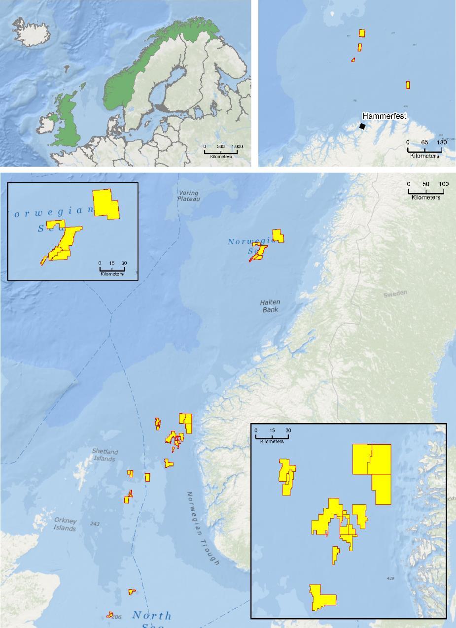 Exploration UK & Norway Norway Material Drilling Campaign Extensive portfolio across a variety of plays in UK and Norway Norway Barents Sea Barents Sea PL854 Flipper Core areas: Barents Sea Norwegian