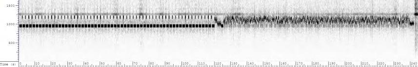 13380kHz 2110z 31/05 illustrates the effect of being mistuned by -1kHz In comparison: 13381kHz 2110z 31/05 illustrates the effect of being correctly tuned To compare 11036 with 11036.