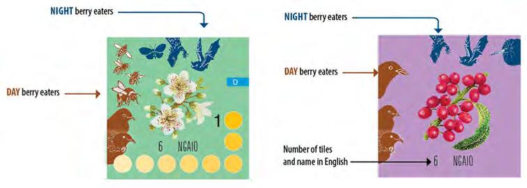 CHAPTER PASSAGE OF SEED C CONTENTS Tiles: 4 harakeke/flax; 5 tī kouka/cabbage tree; 3 pūriri; 3 kōwhai; 3 kōtukutuku/tree fuchsia Day Pollinators: korimako/bellbird; tūī Night Pollinators: