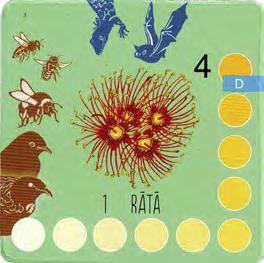 CHAPTER D A PATH TO THE FUTURE CONTENTS Tiles: 6 ngaio; 1 rātā; 2 rewarewa Day Pollinators / Berry Eaters: kererū Night Pollinators / Berry Eaters: kiwi/brown kiwi GAME ELEMENTS