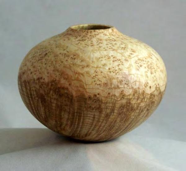 Week of March 19 Week of March 5 Black Ash Burl Week of March 12 Uknown Burl Week of March 26 Osage Orange Chicago Woodturners Board of Directors and Committee Chairs 2011 President, Web Master Scott