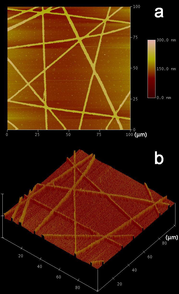 AFM images of the transparent electrode. The following 100 µm 100 µm AFM image indicates that the resulting transparent electrode is free of large protruding.