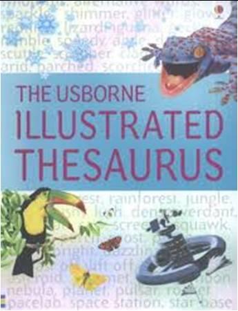 The Usborne Illustrated