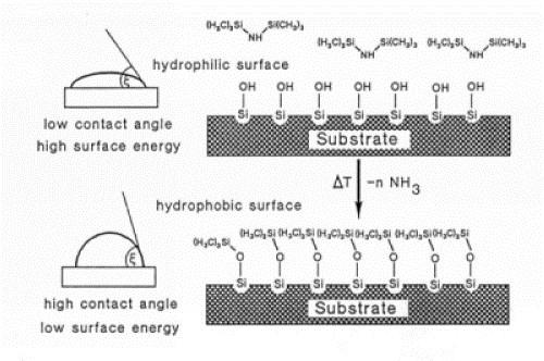 unpolar methyl groups form hydrophobic surface with corresponding resist wettability and