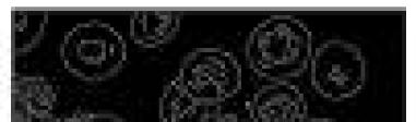 converted to a gray level image. The edges are then extracted using the Canny operator as seen in Figure 6.