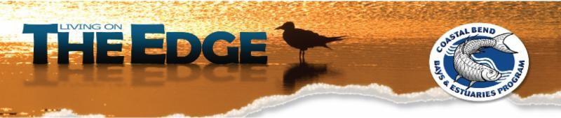 Stay connected with The Edge: News and Updates from the Coastal Bend Bays & Estuaries Program News and Updates from the Coastal Bend Bays & Estuaries Program Visit Our Website Rookery Island Clean