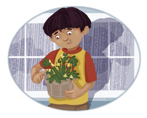 Chapter 2 Grandpa s Flowers Miguel noticed some green plants with little yellow flowers.