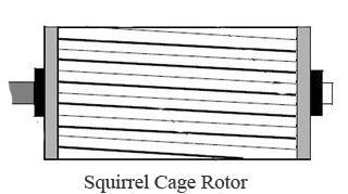 . Fig. 2: Diagram of Squirrel cage rotor. The difference between the synchronous speed (N s ) and actual speed (N) of the rotor is called as slip.