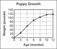 How many more students chose macaroni and cheese than chose hamburger? Use the line graph which shows the weight of an Irish wolfhound puppy.