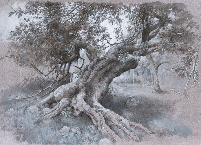 2 Tree Study (Summer), ink,