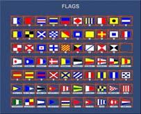 FOR INSTRUCTOR STATION This page (picture to the left) lets the Instructor set flag combinations for the actual target ship taking part in the exercise.