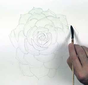1 1. Transferring the succulent image Use the first image in the PDF and turn it face down and shade the backside of it with a 6B pencil.