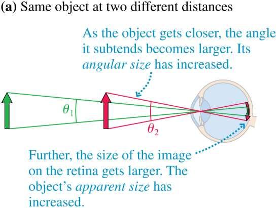 Optical Systems That Magnify The easiest way to magnify an object requires no extra optics at all: Simply get closer!