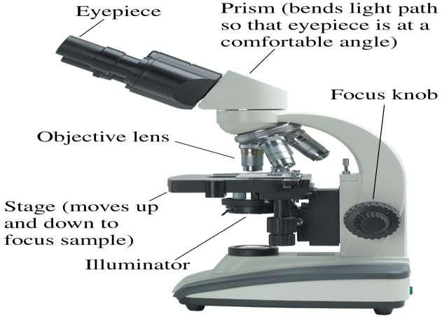 The Microscope A microscope, whose major parts are shown in the figure, can attain a magnification of up to 1000 by a two-step magnification process.