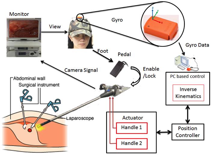 TABLE I ADVANTAGES AND DISADVANTAGES OF TLS, MIRS AND RFES Fig. 1. Overall system of Robotic Flexible Laparoscope System with user: The user can see the image displayed on the monitor.