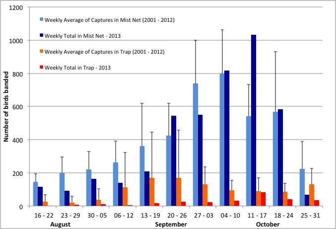 Fig.3: Weekly average (of 2001 to 2012 years) and weekly total of 2013 of birds banded by mistnets