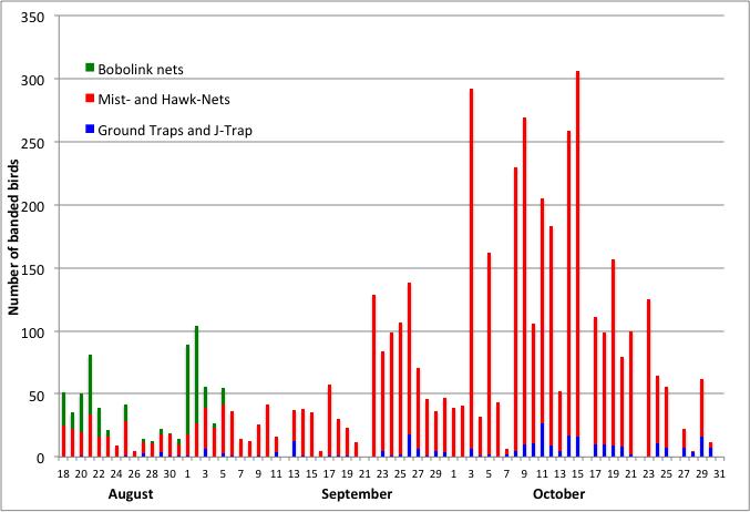 Fig.1. Daily number of banded birds at Prince Edward Point Bird Observatory, fall 2013. Table 1.